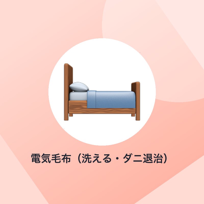 電気毛布（洗える・ダニ退治）